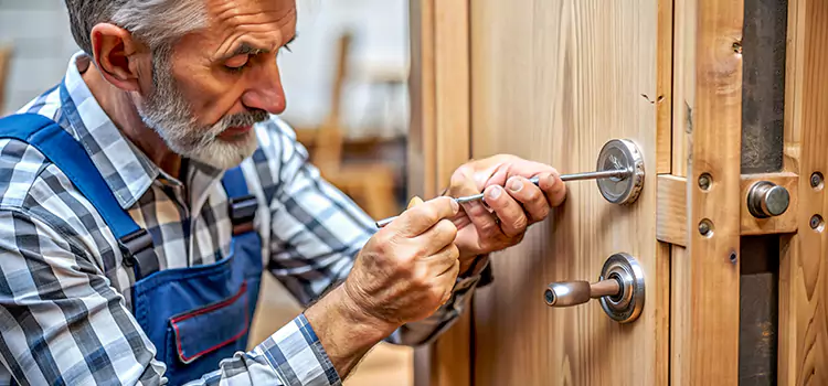Mortise Replacement Lock Potomac